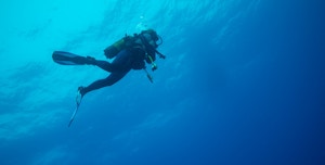 Diving with Sharks and Shipwrecks: Tenerife’s Best Underwater Adventures