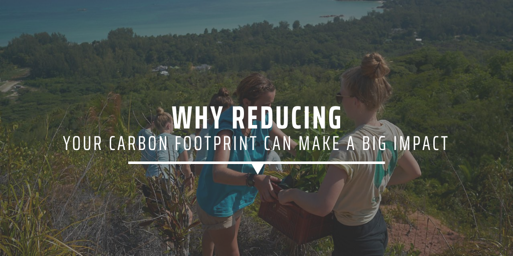 Why reducing your carbon footprint can make a big impact