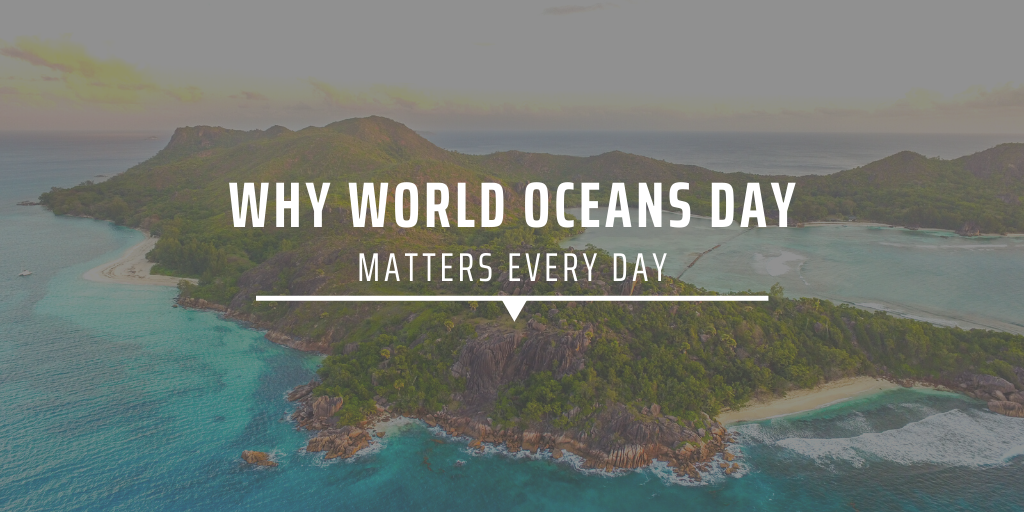 Why World Oceans Day matters every day