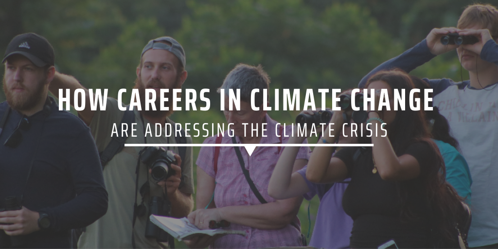 How careers in climate change are addressing the climate crisis