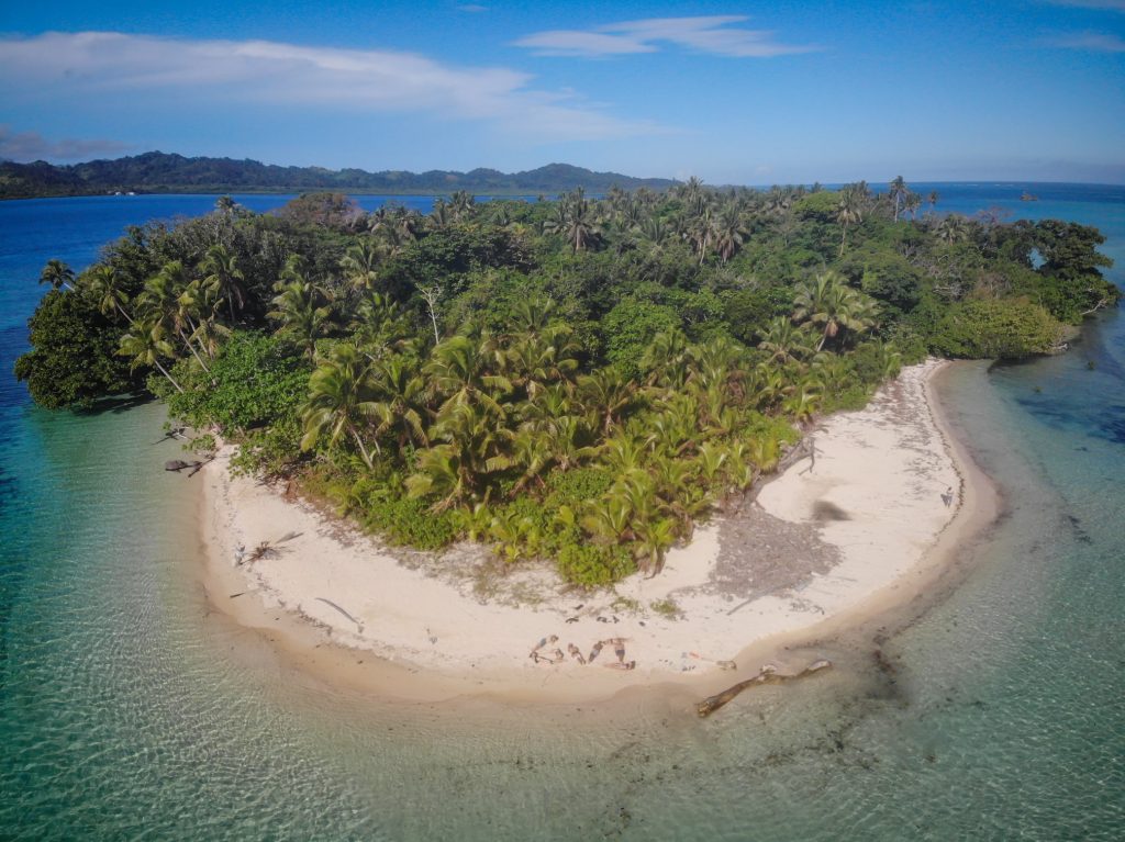 Marine Conservation Expedition in Fiji - Volunteer Expedition | GVI AUS