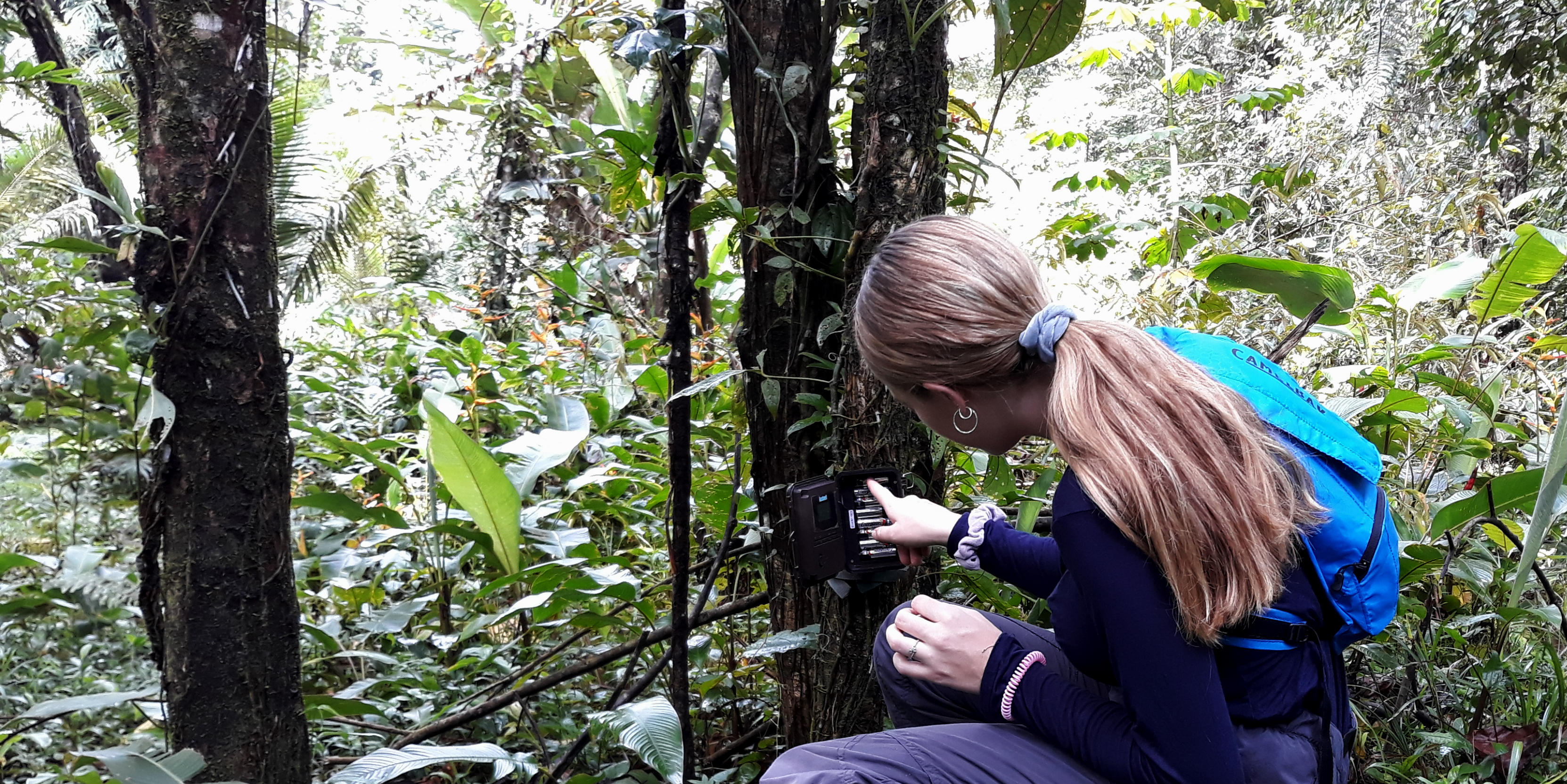 Five awesome wildlife volunteer opportunities abroad | GVI AUS