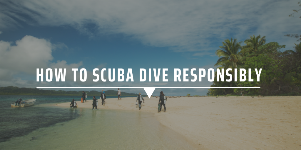 How to scuba dive responsibly