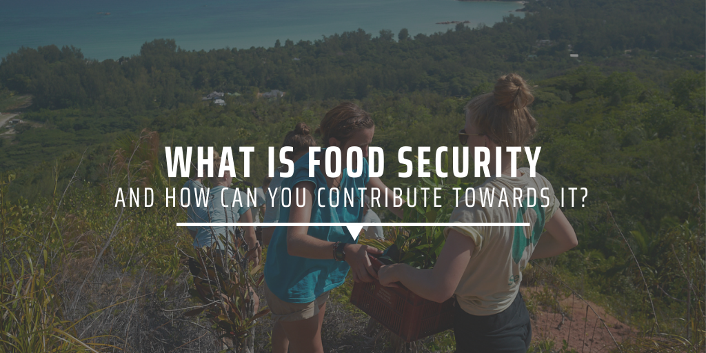 What is food security, and how can you contribute towards it