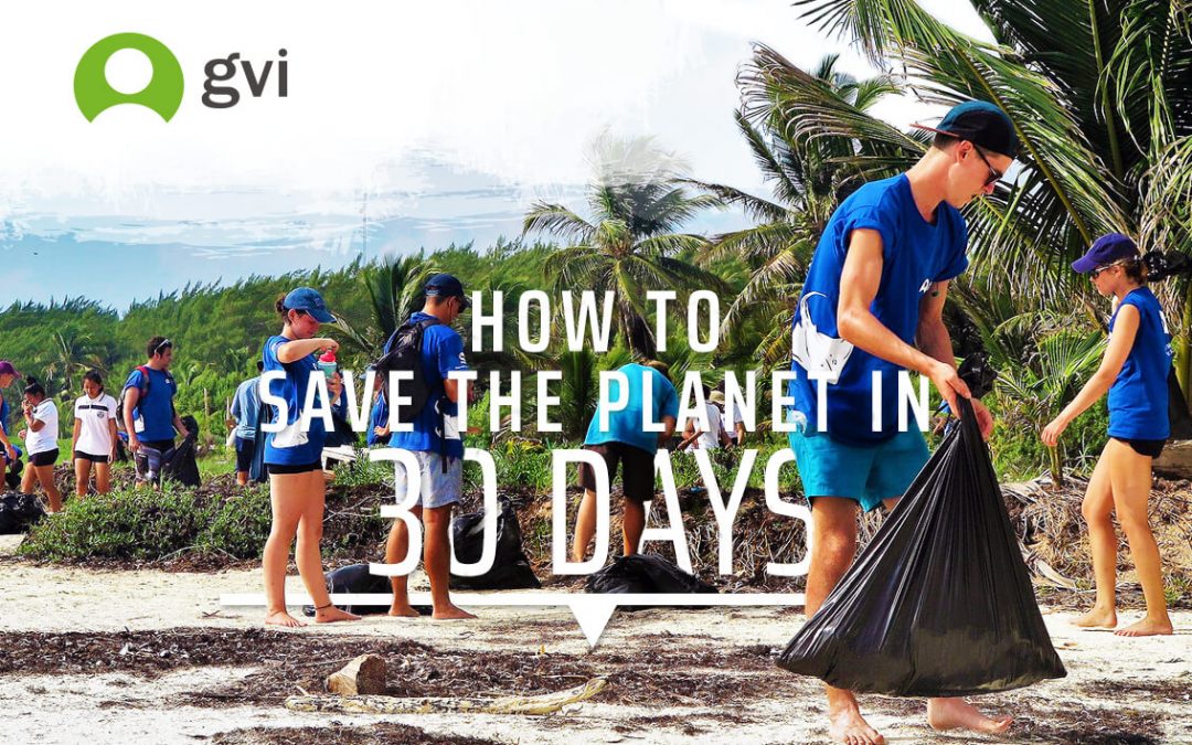 How To Save The Planet In 30 Days