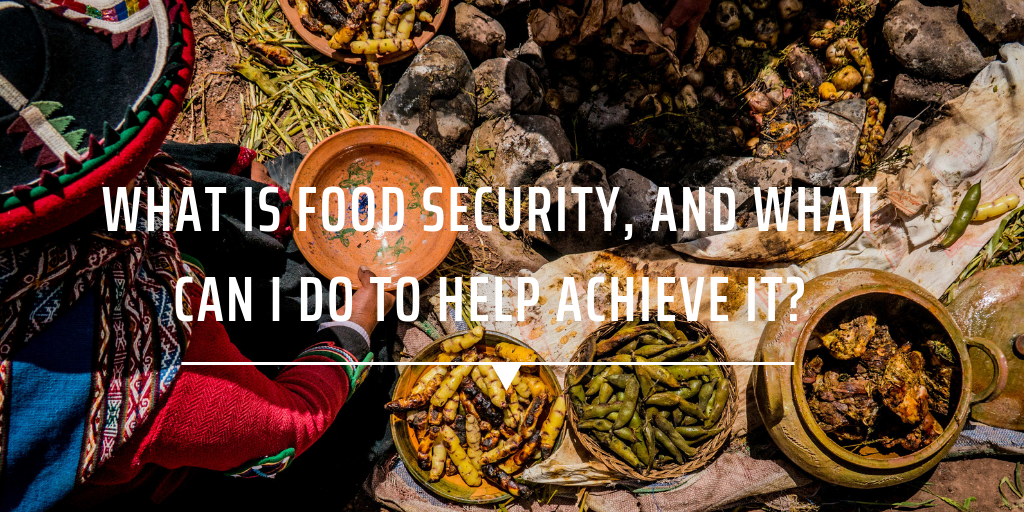 What is food security, and what can I do to help achieve it?