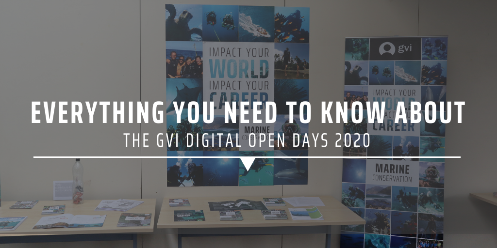 Everything you need to know about the GVI Digital Open Days 2020
