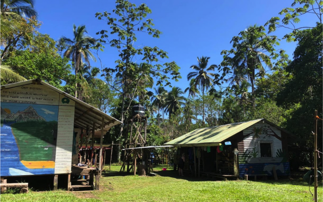 Top 10 Tips for Jungle Living